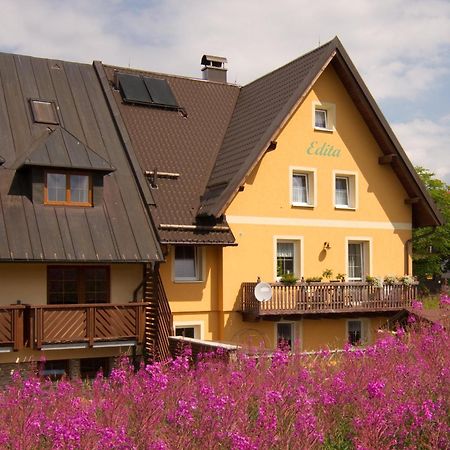 Ubytovani Edita Boží Dar Exterior foto